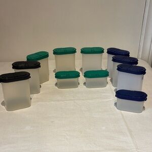 11 Tupperware Spice Containers with Blue/ Green/Back Flip Lids